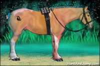 Horse Color:Palomino Tobiano 