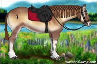 Horse Color:Red Onyx 