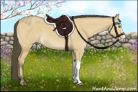 Horse Color:Buckskin Dun 
