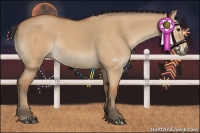 Horse Color:Bay Dun