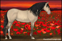 Horse Color:Gray Amber Champagne Dun 