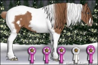 Horse Color:Chestnut Tobiano Frame