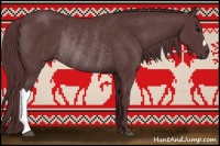 Horse Color:Chocolate Black Rabicano