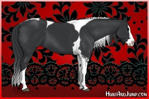 Horse Color:Black Splash Tobiano 