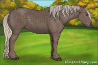 Horse Color:Silver Black 