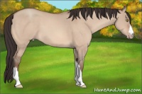 Horse Color:Sable Champagne Dun