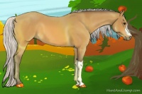 Horse Color:Silver Buckskin 