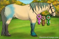 Horse Color:Buckskin Varnish 
