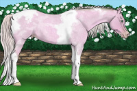 Horse Color:Gray Watercolor Silver Amber Cream Champagne Roan Dun Splash Tobiano Frame Appaloosa Rabicano 