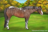 Horse Color:Bay Splash Tobiano Varnish and Bay Splash Tobiano Varnish