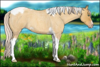 Horse Color:Gray Silver Amber Cream Champagne Roan Dun Splash Tobiano Frame Appaloosa Rabicano 