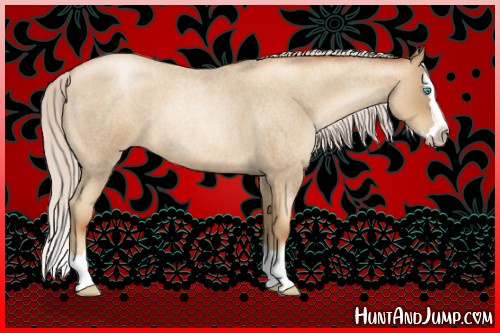 Horse Color:Gray Silver Amber Cream Champagne Roan Pearl Splash Rabicano 