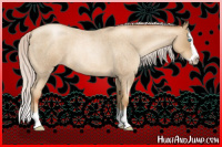 Horse Color:Gray Silver Amber Cream Champagne Roan Pearl Splash Rabicano