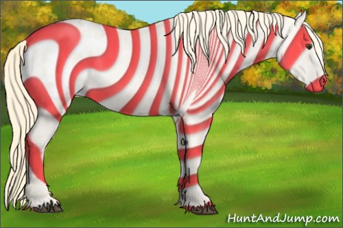 Horse Color:Palomino Appaloosa