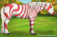 Horse Color:Palomino Appaloosa 