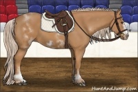 Horse Color:White Spotted Chestnut Frame