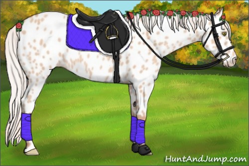 Horse Color:Silver Amber Champagne Appaloosa 