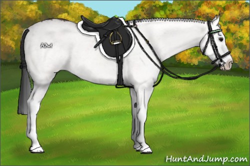 Horse Color:White Spotted Brown Splash