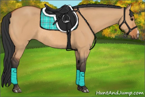 Horse Color:Bay Dun Rabicano 