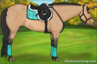 Horse Color:Bay Dun Rabicano 