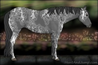 Horse Color:Black Ice 