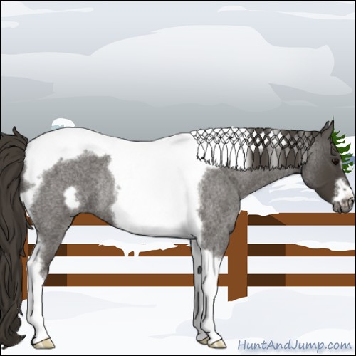 Horse Color:Smoky Blue Roan Tobiano Frame Rabicano 