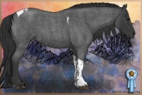 Horse Color:Blue Roan Tobiano