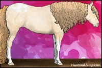 Horse Color:Buckskin Ice Pearl Tobiano Appaloosa