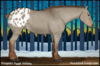 Horse Color:Gray Red Dun Appaloosa