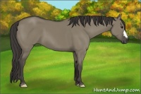 Horse Color:Smoky Grullo