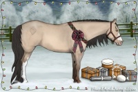 Horse Color:Amber Champagne Dun