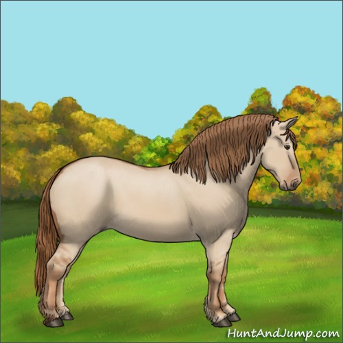 Horse Color:Red Dun