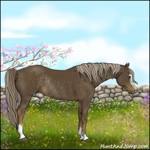 Horse Color:Chocolate Palomino Sabino Rabicano