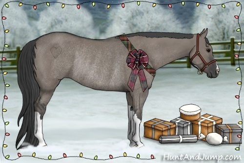 Horse Color:Grullo Rabicano 