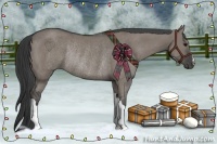 Horse Color:Grullo Rabicano 