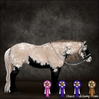 Horse Color:Black Ice Pearl Sabino Splash
