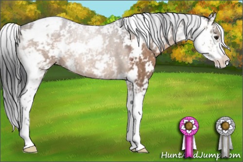 Horse Color:Brown Dun Sabino 