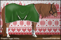 Horse Color:Chestnut Appaloosa 