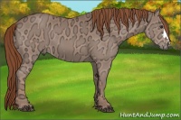 Horse Color:Chestnut Ice 