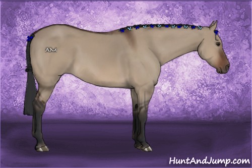 Horse Color:Brown Dun 