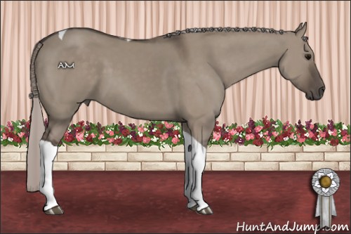 Horse Color:Silver Grullo Tobiano 