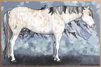 Horse Color:Bay Dun Sabino  and Bay Dun Sabino 