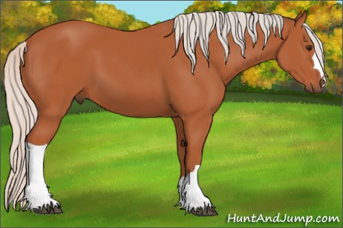 Horse Color:Silver Bay 