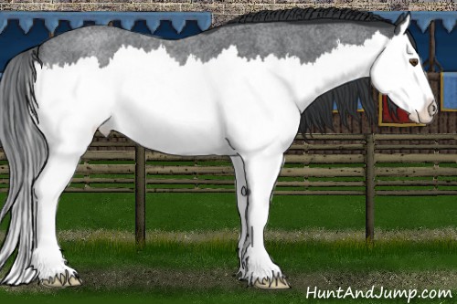 Horse Color:Blue Chinchilla Roan Splash Rabicano 