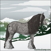 Horse Color:Smoky Black Ice