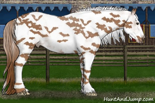 Horse Color:White Spotted Chestnut Tobiano 
