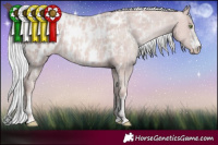 Horse Color:Platinum Gold Champagne Mushroom Near Leopard  and Platinum Gold Champagne Mushroom Blanket 