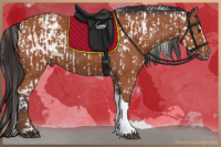 Horse Color:Bay Sabino  and Bay 