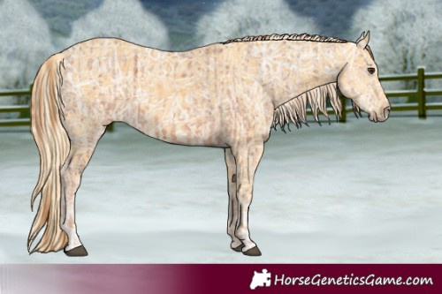 Horse Color:Chestnut Ice and Palomino Ice