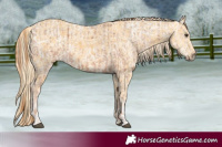 Horse Color:Chestnut Ice and Palomino Ice